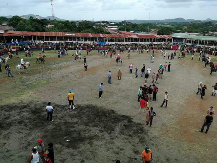 toros2